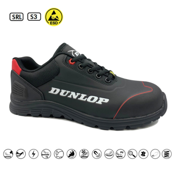 711030-Pnt00852-Paintoo